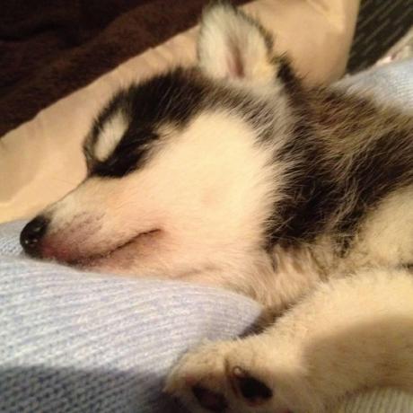 Cuishuhao Shuhao Cui Github - Mountain Wallpaper Collection - Desktop Quality