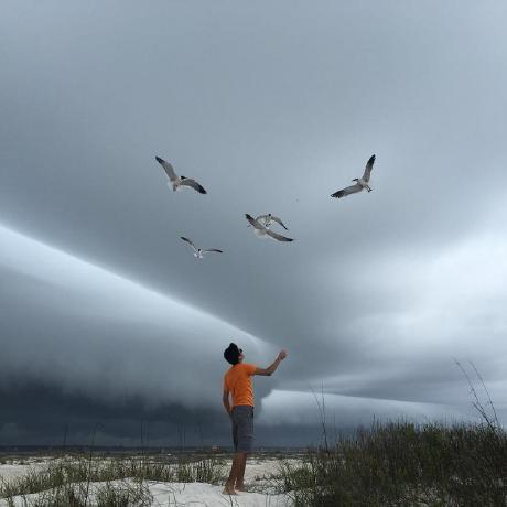 Mihirsahu Mihir Sahu Github