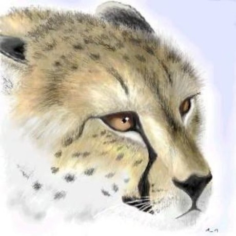 Github Dev Ale19 Gepard Src Gepard 2019 - High Quality Geometric Pattern - HD