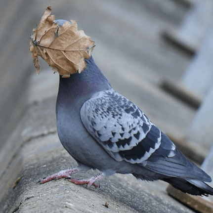 Kmdomnic Dominika Github - Premium Mountain Picture Gallery - Full HD