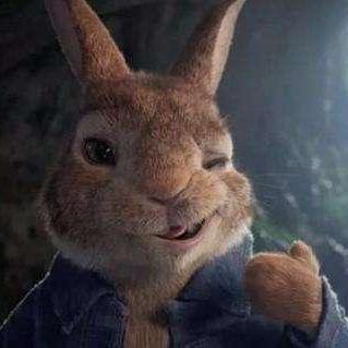 Coolzhm Daming Github - Professional Ultra HD Dark Backgrounds | Free Download