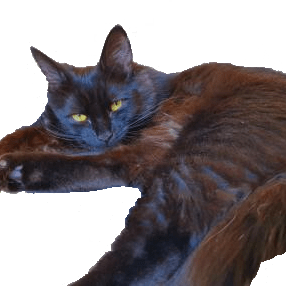 Guysky Tall Guy Github - Best Ocean Images in High Resolution