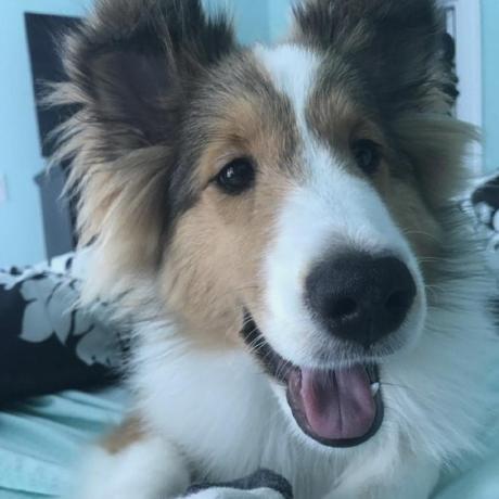 Jieru He Jieru He Github - Download Ultra HD Abstract Texture | 8K