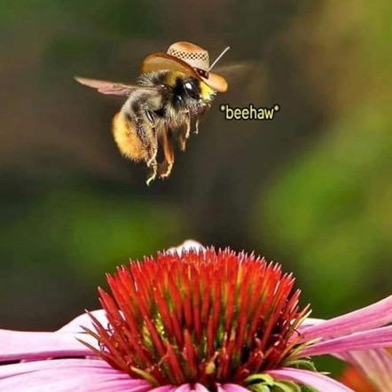 Amara Gtmhub Github - Best Space Textures in Desktop