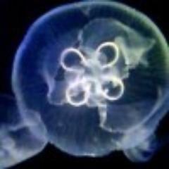 Github Pirosap Atomcam Tools - Best Minimal Designs in High Resolution