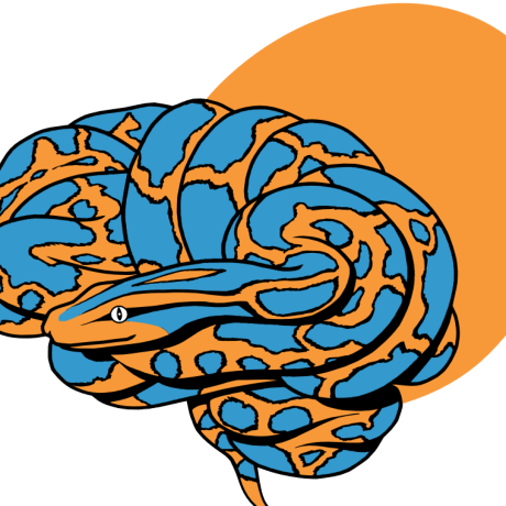 Releases Nilearn Nilearn Github - Colorful Patterns - Elegant Desktop Collection