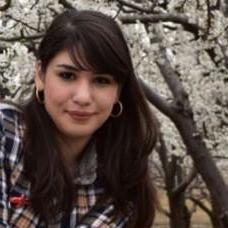 Elham Qolizade Elham Github - Dark Pictures - Creative 4K Collection