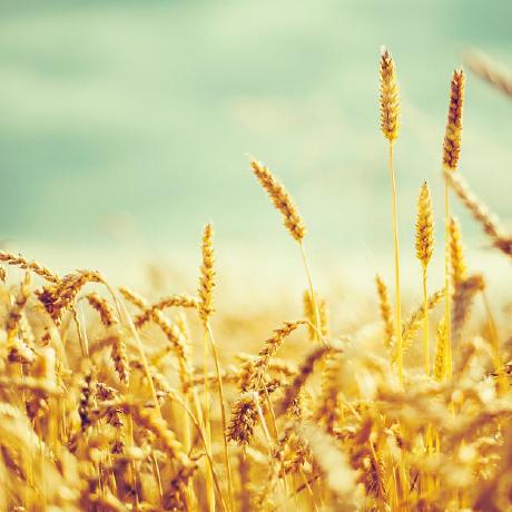 Ethanling Ethan Ling Github - Incredible Mountain Image - Mobile