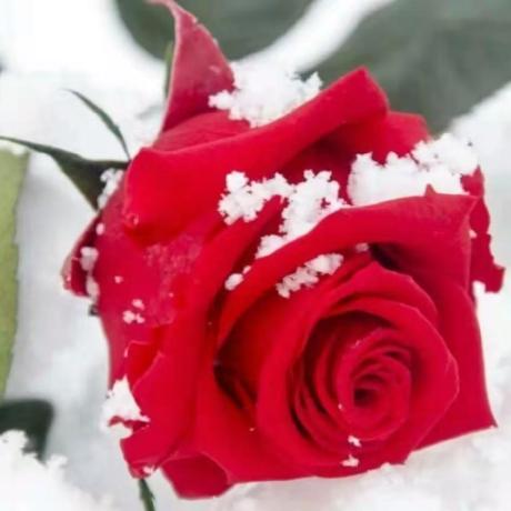 Hongkong Ng Github - Mountain Background Collection - HD Quality