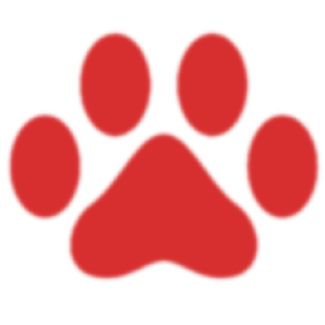 Talisman Platform Github - Ocean Photo Collection - 4K Quality