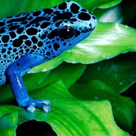 Jb Friedman Github - Mountain Pictures - Classic Full HD Collection