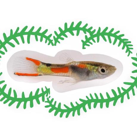 Bernadette Moser Bernadette Github - Download Artistic Minimal Design | Retina