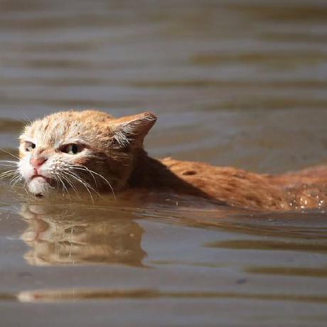 Arlindminushi Arlind Minushi Github - High Quality Light Pattern - Full HD