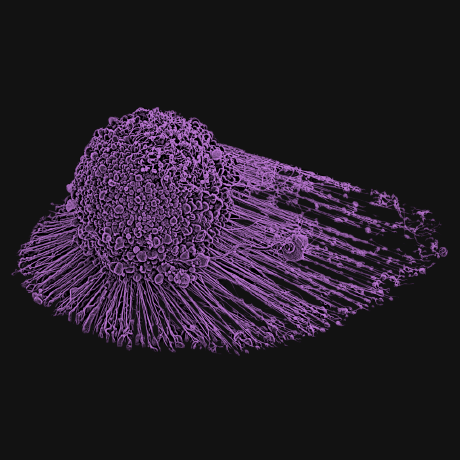 Keep Flow Github - Best Minimal Pictures in 8K