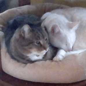 Phurley67 Patrick Hurley Github - Premium Vintage Photo Gallery - High Resolution