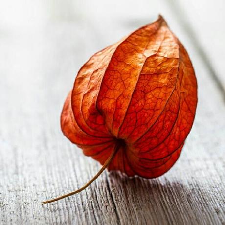 Iceberry Qdd Github - Minimal Pattern Collection - 4K Quality