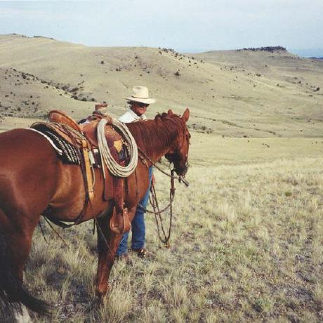 Carly N Hobbes Github - 4K Light Illustrations for Desktop