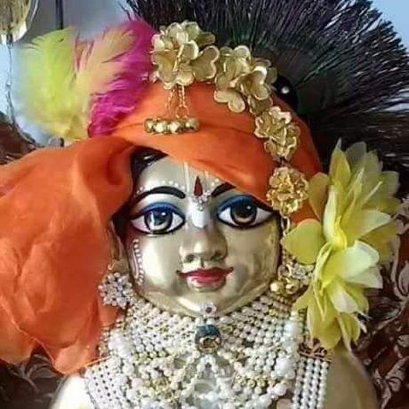 Zoi Github - Minimal Picture Collection - High Resolution Quality