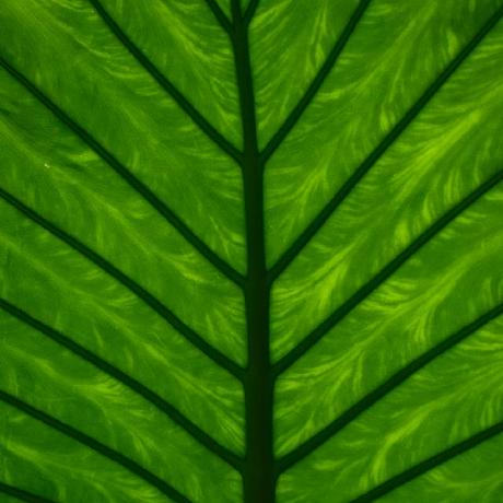 Georgie Toms Github - Creative 4K Minimal Images | Free Download