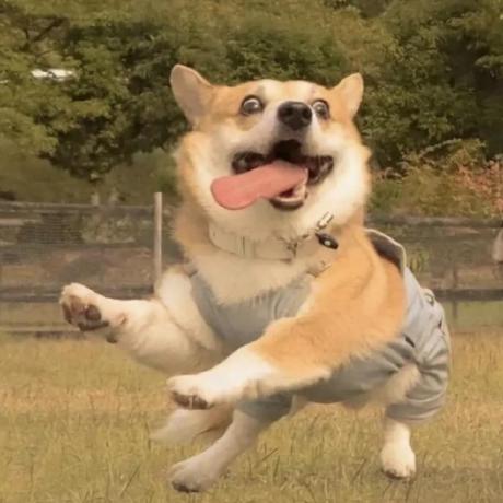 Jeannyil Camel Playground Github - Abstract Photo Collection - Mobile Quality