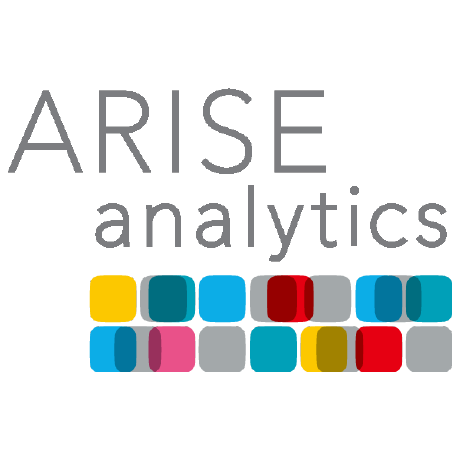 Arise Analytics Inc Github
