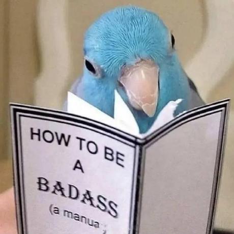 Github Thoughts Decoder Dark Horse Cpp - Premium Vintage Design Gallery - Mobile