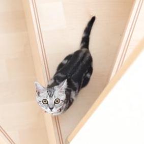 Nishix Nishi Github - Premium Colorful Illustration Gallery - Retina