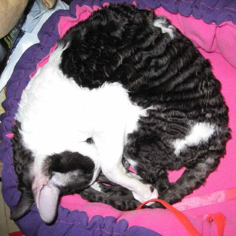 Kpvnnov Peter Kostenko Github - Landscape Illustration Collection - High Resolution Quality