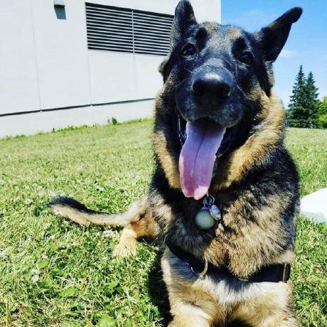 Camilonemocon Camilo Nemocon Github - Abstract Background Collection - HD Quality