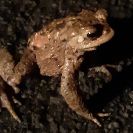 Jannik Werner Jannik Github - Nature Art Collection - 4K Quality