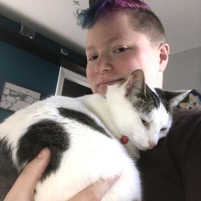 Vickilyn Vicki Github - Premium Landscape Texture Gallery - 4K