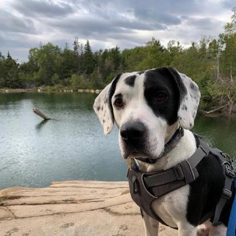 Chaceyin Chace Github - Creative HD Colorful Images | Free Download