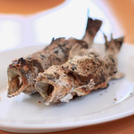 Github Wakkihaya Brain Console Web Application That Shows The - Premium City Wallpaper - Retina