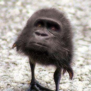 Luccasecco Lucca Secco Github - Premium Minimal Art Gallery - Mobile