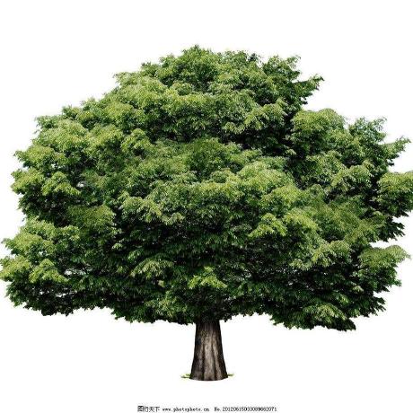 Warda 404 Github - Premium Minimal Pattern Gallery - Ultra HD