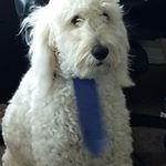 Mousekeyinventoryfix Minecraft Mod - Minimal Designs - Incredible HD Collection