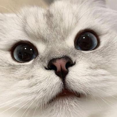 Dhangaringan Cpe Dhanyg Github - Mobile Geometric Designs for Desktop