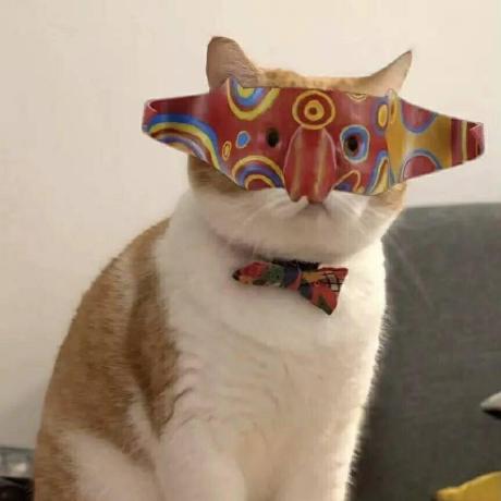 Mrcong Github - Stunning Ocean Design - Mobile