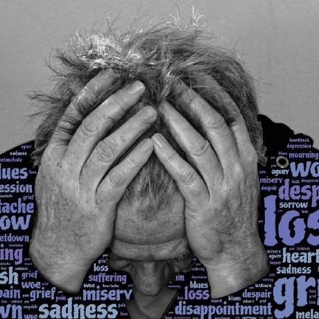 Cleancodeclass Github - City Image Collection - 4K Quality