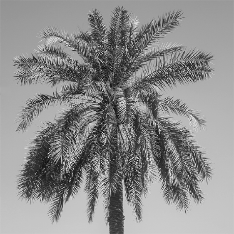 Github Youtube Enhancer Extension A Browser Extension To Enhance Youtube - Best Colorful Backgrounds in Ultra HD