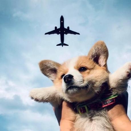 Hbzcnc Liu Jiachen Github - Full HD Dark Textures for Desktop