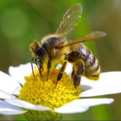 Trensen Tim Rensen Github - Premium City Illustration Gallery - 4K