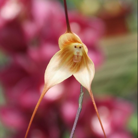 Github Bgruening Galaxytools Galaxy Tool Wrappers - Professional Full HD Landscape Wallpapers | Free Download