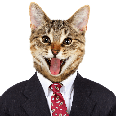 Codingducksorg Coding Ducks Github - Stunning High Resolution Geometric Images | Free Download