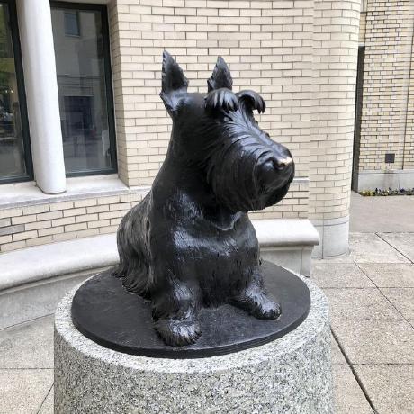 Github Chenhcs Giant Giant Gene Based Data Integration And Analysis - Gradient Texture Collection - Retina Quality