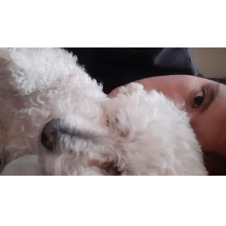 Dsan03dan Daniel Sanchez Github - Artistic Retina Sunset Images | Free Download