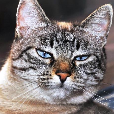 Github Artnugraha Plotting Tutorial Basic Plotting Tutorial Using - Retina Ocean Patterns for Desktop