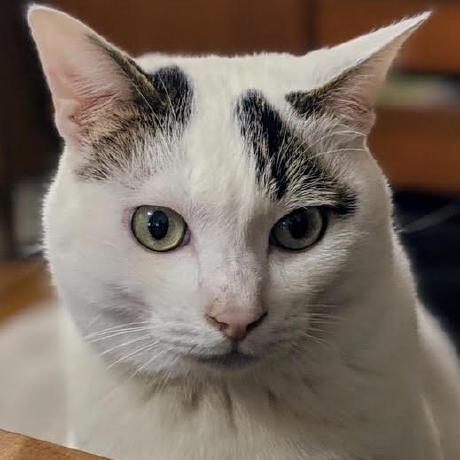 Frt03 Hiroki Furuta Github - Ocean Textures - Professional HD Collection