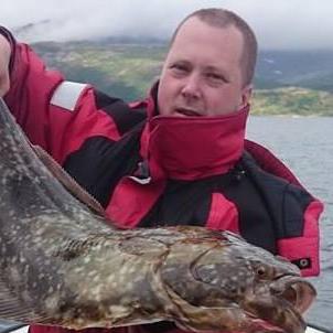 Thedoubleh Henrik Helgesen Github - Nature Illustrations - Elegant Mobile Collection