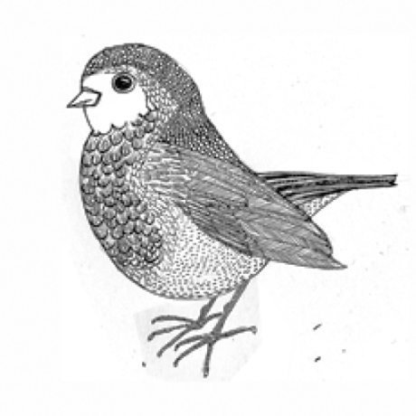 Aron400 Aron Github - Geometric Images - Amazing Retina Collection